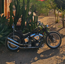 De Palma Cycles